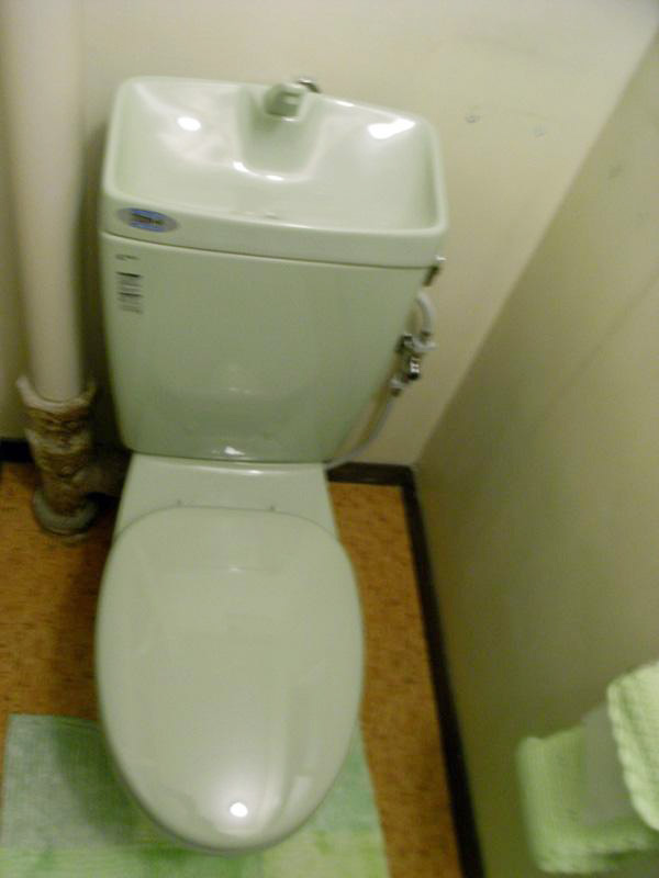090412tsuji-toilet-after.jpg
