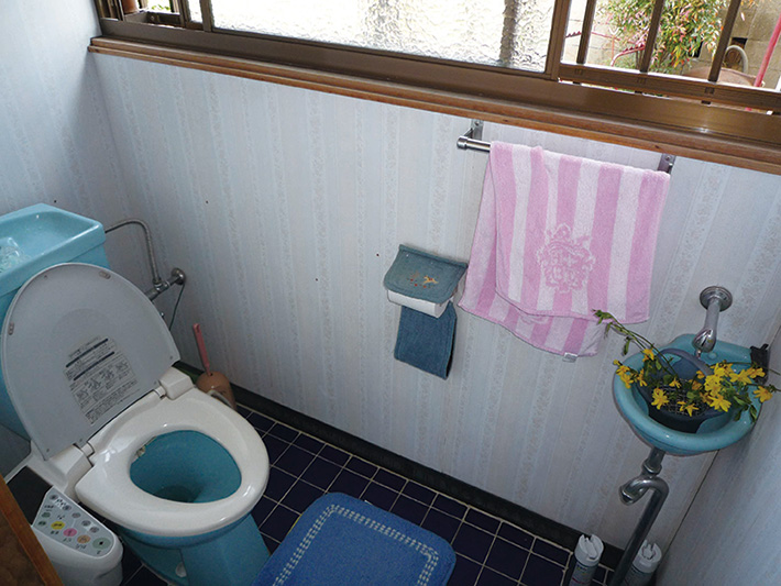 090630fujii-toilet-before.jpg