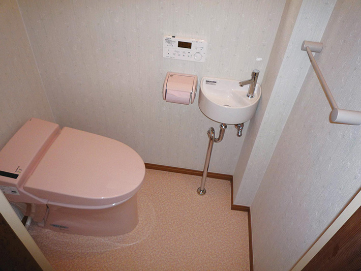 090428otani-toilet-after.jpg
