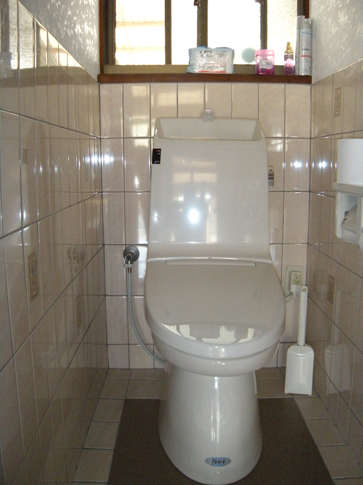20121106fujimura-toilet-after.JPG