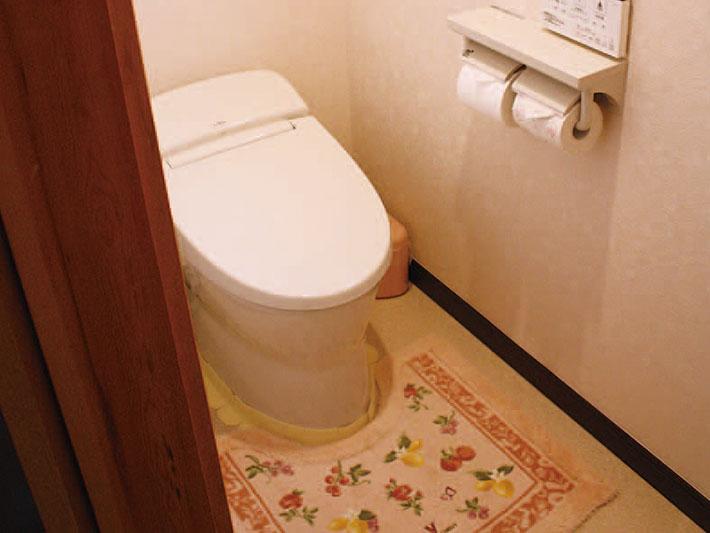 20151124-toilet-1.jpg