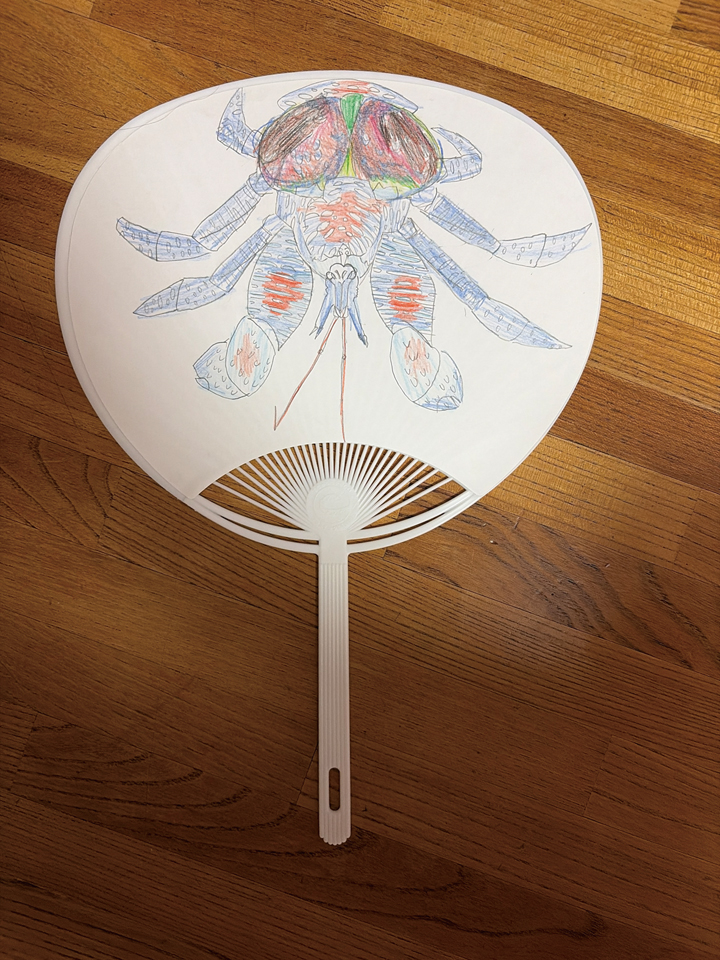 https://www.sunreform.net/40/2026uchiwa001o.jpg