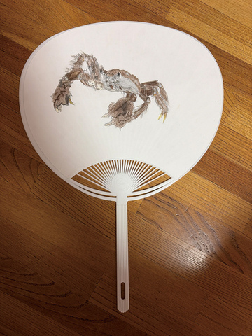 2026uchiwa001u.jpg