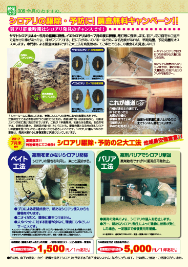 Vol.80若葉乃号_今月のおすすめ。