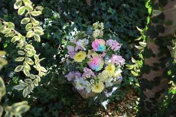 ありがとう。【風花乃号】Vol.133（2026年3月発行）3&4月号